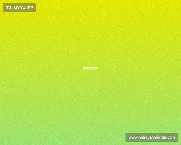 足球比赛赛事时间安排